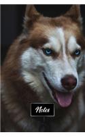Siberian Husky Huskies Dog Pup Puppy Doggie Notebook Bullet Journal Diary Composition Book Notepad - In the Night