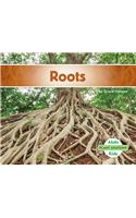 Roots