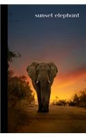 sunset elephant