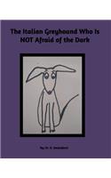 The Italian Greyhound Who is NOT Afraid of the Dark