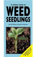 Colour Atlas of Weed Seedlings
