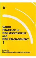Good Practice in Risk Assessment and Management 1