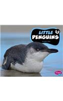 Little Penguins