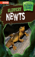 Slippery Newts: (Animals That Slither and Slide)