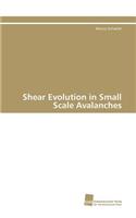 Shear Evolution in Small Scale Avalanches