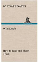 Wild Ducks How to Rear and Shoot Them
