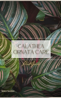 Calathea Ornata Care