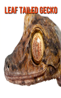 Leaf Tailed Gecko: Amazing Facts about Leaf Tailed Gecko