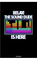 Relax! The Sound Dude Is Here