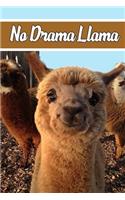 No Drama Llama