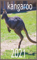 kangaroo: 2021 Wall & Office Calendar, 12 Month Calendar HAPPY KIDS CALENDAR