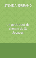 Un petit bout de chemin de St Jacques: raconté à mes copines