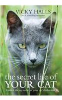 The Secret Life of your Cat