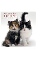 Kittens 2015 Calendar