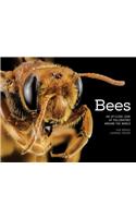 Bees: An Up-Close Look at Pollinators Around the World