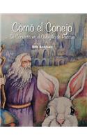 Como El Conejo Se Convirtio En El Conejillo de Pascua
