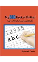My Big Book of Writing