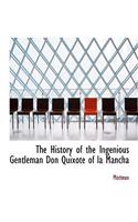 The Ingenious Gentleman Don Quixote of La Mancha, Volume IV or IV