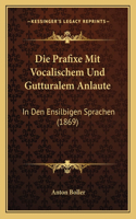 Die Prafixe Mit Vocalischem Und Gutturalem Anlaute