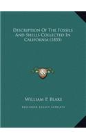 Description Of The Fossils And Shells Collected In California (1855)
