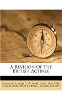 Revision of the British Actiniæ