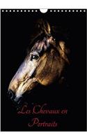 Chevaux en Portraits 2018