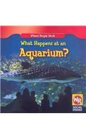 What Happens at an Aquarium?
