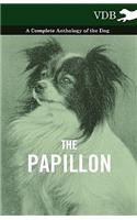 The Papillon - A Complete Anthology of the Dog