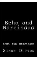 Echo and Narcissus