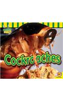 Cockroaches