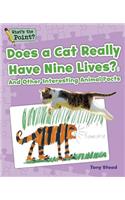 Does a Cat Really Have Nine Lives?