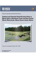 Ambient and Potential Denitrification Rates in Marsh Soils of Northeast Creek and Bass Harbor Marsh Watersheds, Mount Desert Island, Maine