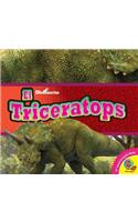 El Triceratops