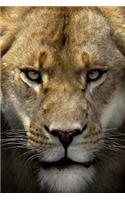 Mindblowing Cute Lion Journal 4