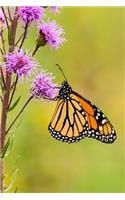 Monarch Butterfly Journal