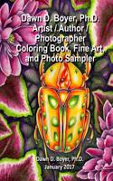 Dawn D. Boyer, PH.D. - Artist / Author / Photographer: Coloring Book, Fine Art, and Photo Sampler: January 2017
