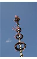 Looking Up at a Maypole in Bavaria Spring Journal