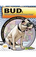 Bud: 1st Dog to Cross the United States