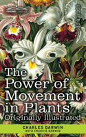 The Power of Movement in Plants