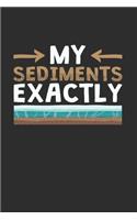 Geology My Sediments Exactly Geologist Notebook, 6x9 Inch, 100 Page, Blank Lined, College Ruled Journal