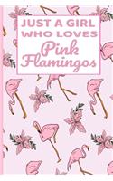 Just A Girl Who Loves Pink Flamingos: College Ruled Notebook