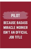 Pilot Because Badass Miracle Worker Isn't An Official Job Title