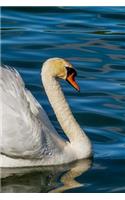 Swan Notebook