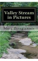 Valley Stream in Pictures