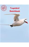 Tropicbird Sketchbook