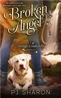 Broken Angel