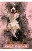 Bernese Mountain Dog