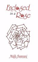 Enclosed in a Rose