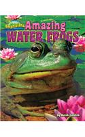 Amazing Water Frogs