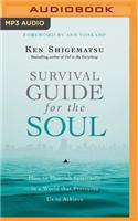 Survival Guide for the Soul: How to Flourish Spiritually in a World That Pressures Us to Achieve